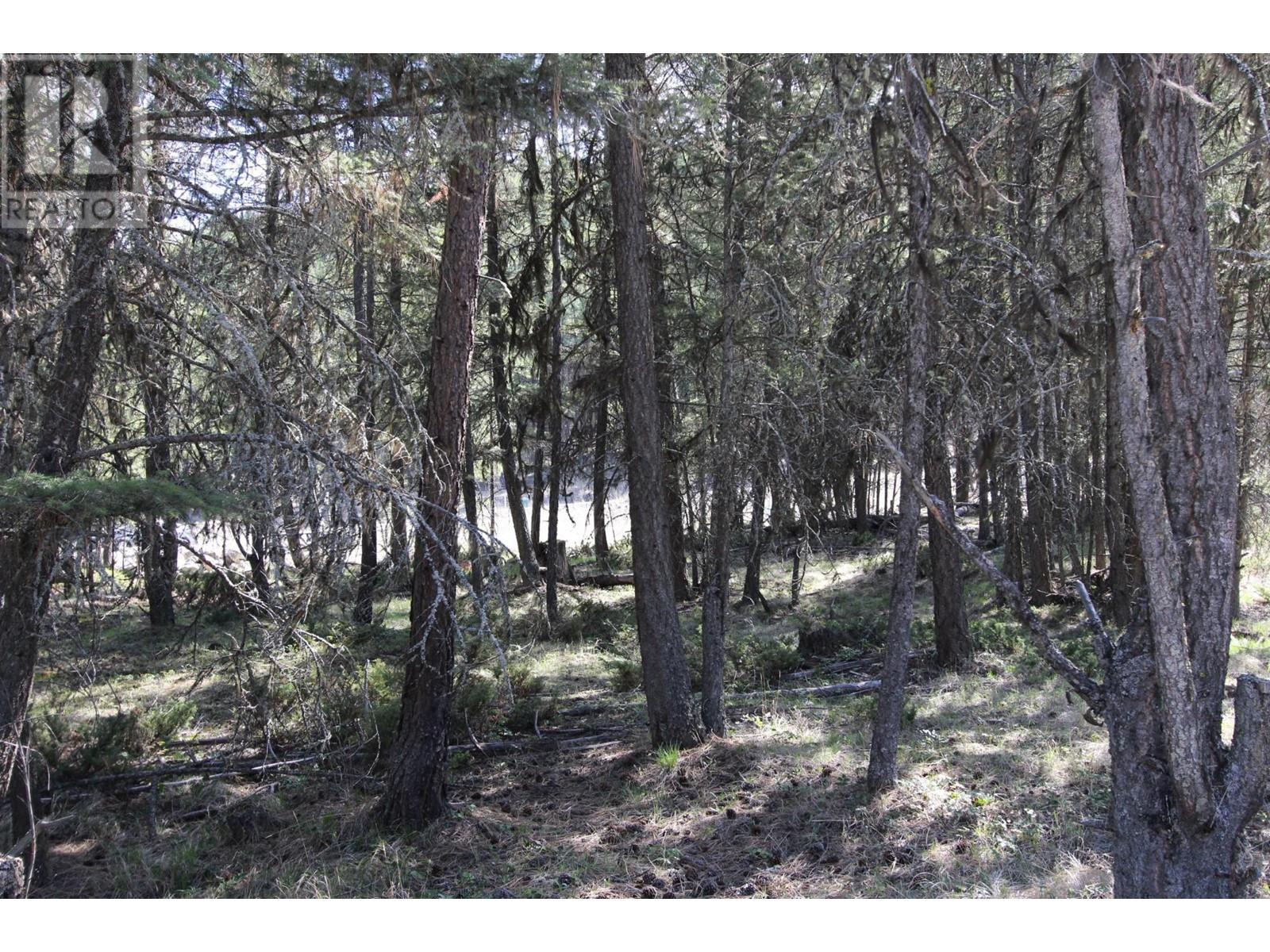 Lot 18 Osprey Landing Drive, Wardner, British Columbia  V0B 2J0 - Photo 15 - 2478547