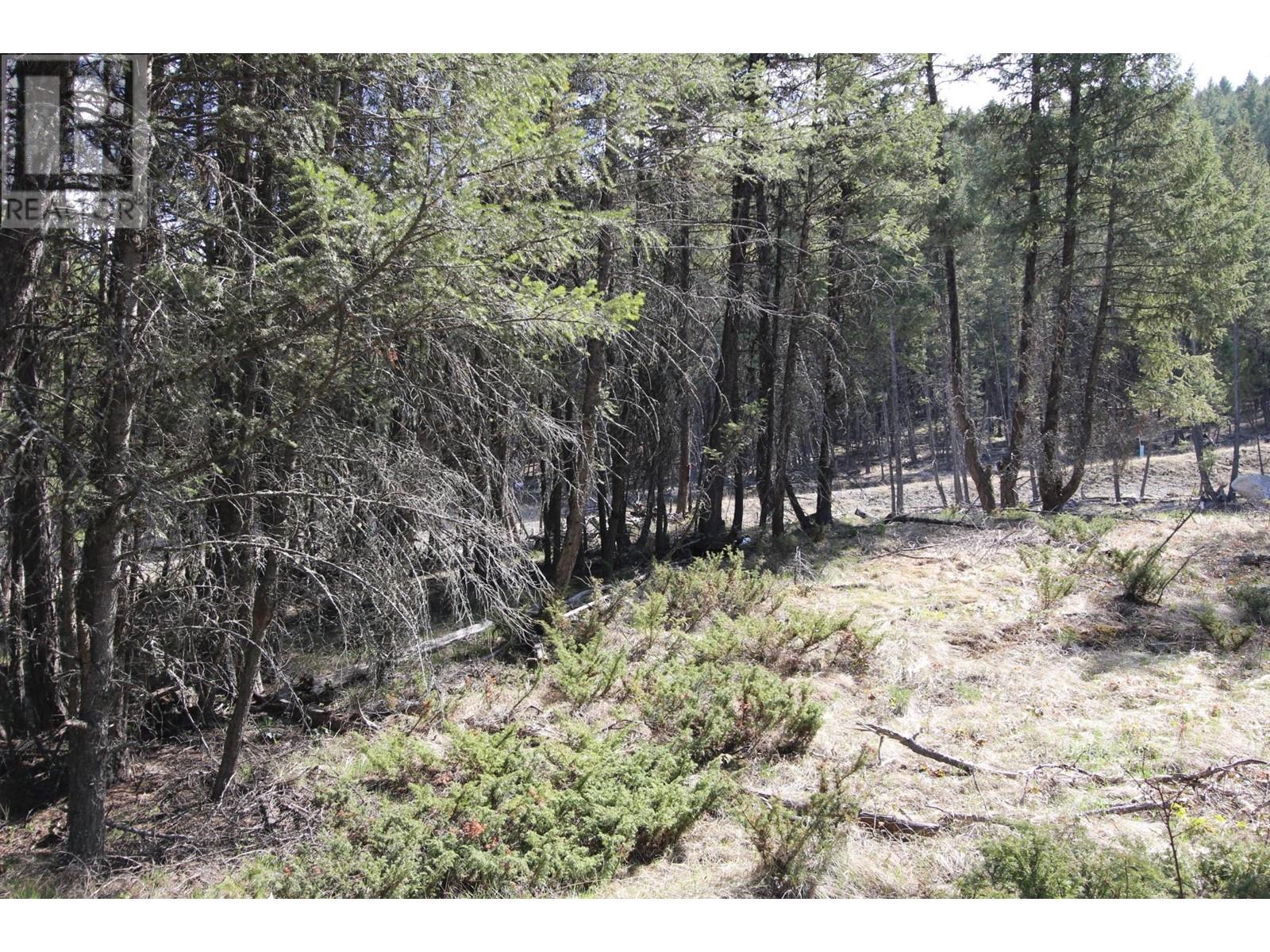 Lot 18 Osprey Landing Drive, Wardner, British Columbia  V0B 2J0 - Photo 16 - 2478547