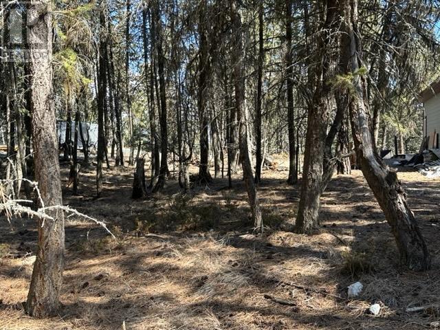 Lot 18 Osprey Landing Drive, Wardner, British Columbia  V0B 2J0 - Photo 17 - 2478547