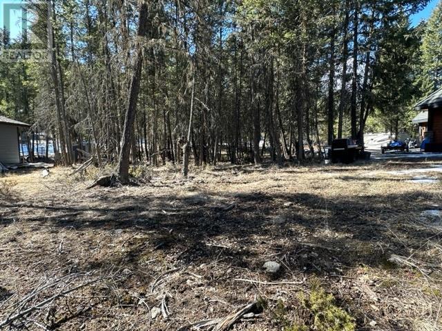 Lot 18 Osprey Landing Drive, Wardner, British Columbia  V0B 2J0 - Photo 18 - 2478547