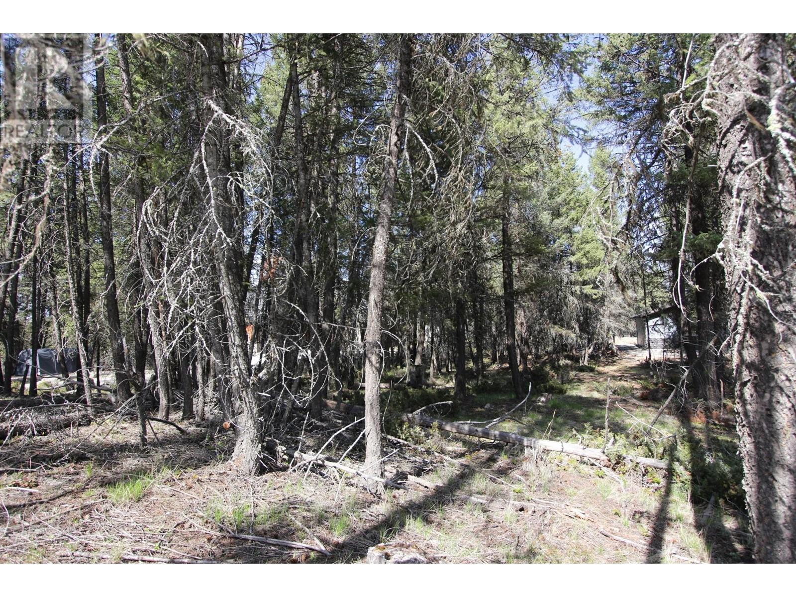 Lot 18 Osprey Landing Drive, Wardner, British Columbia  V0B 2J0 - Photo 2 - 2478547