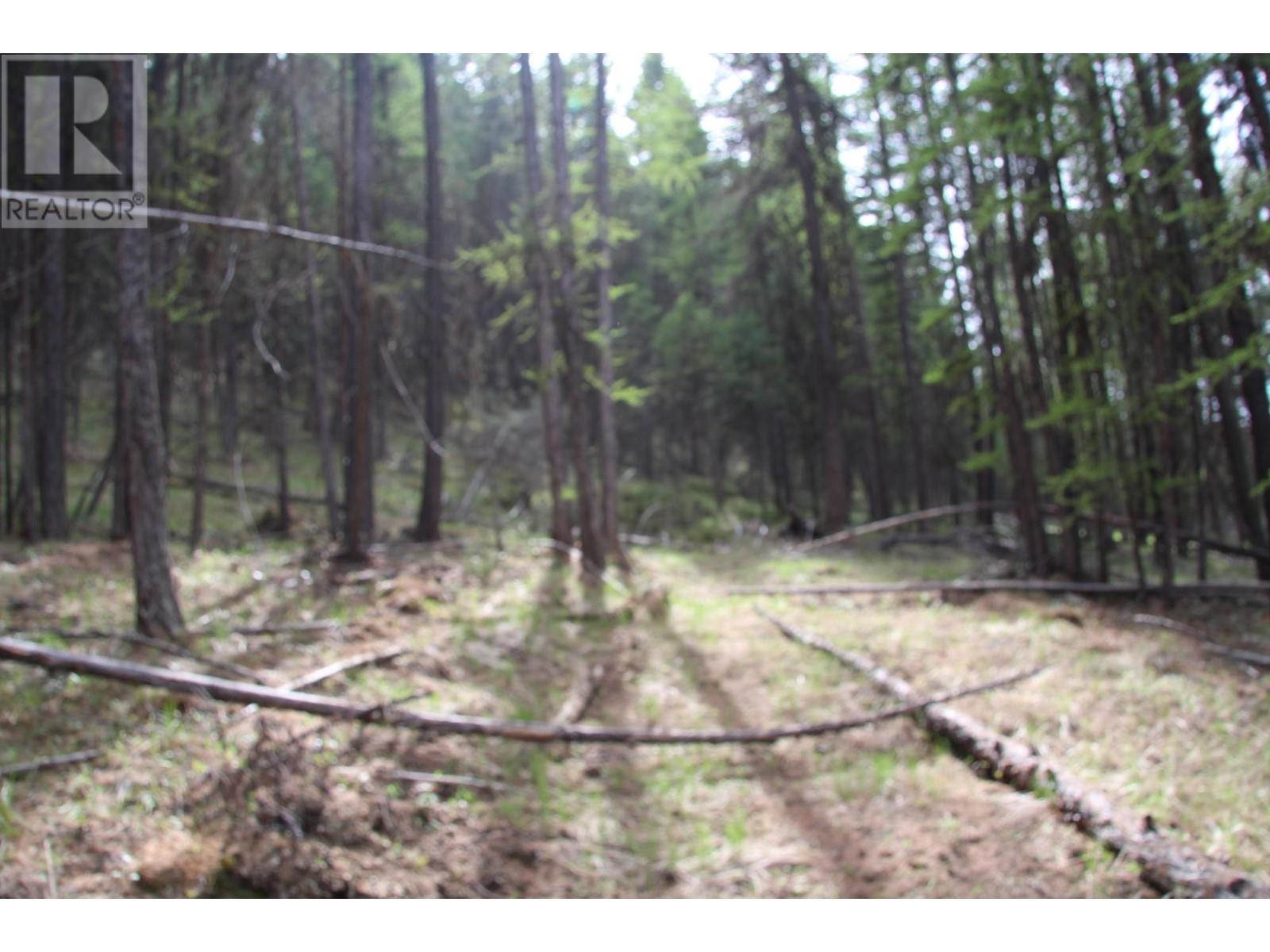 Lot 18 Osprey Landing Drive, Wardner, British Columbia  V0B 2J0 - Photo 5 - 2478547