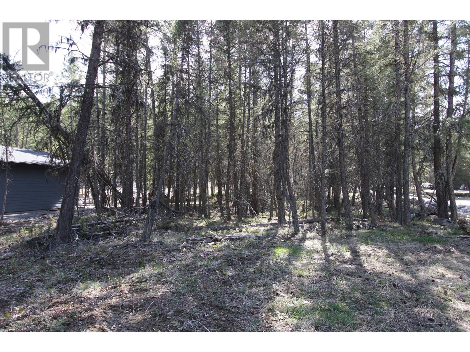 Lot 18 Osprey Landing Drive, Wardner, British Columbia  V0B 2J0 - Photo 9 - 2478547