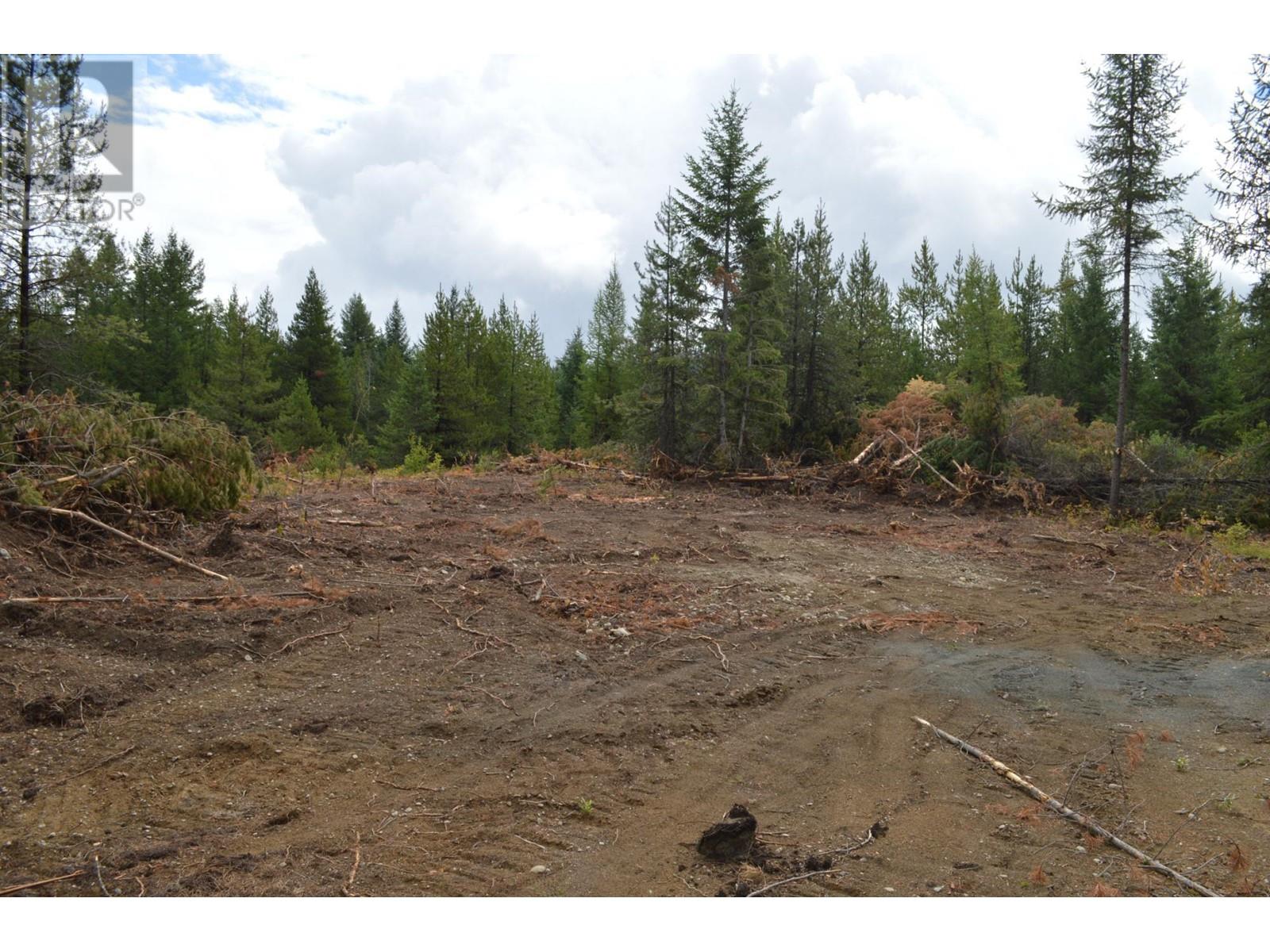 Lot 2 3 Highway, Grand Forks, British Columbia  V0H 1H5 - Photo 10 - 2478746