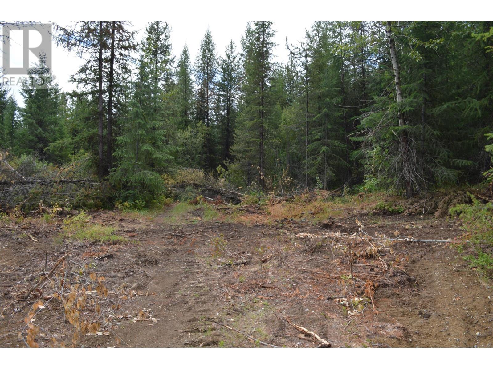Lot 2 3 Highway, Grand Forks, British Columbia  V0H 1H5 - Photo 11 - 2478746
