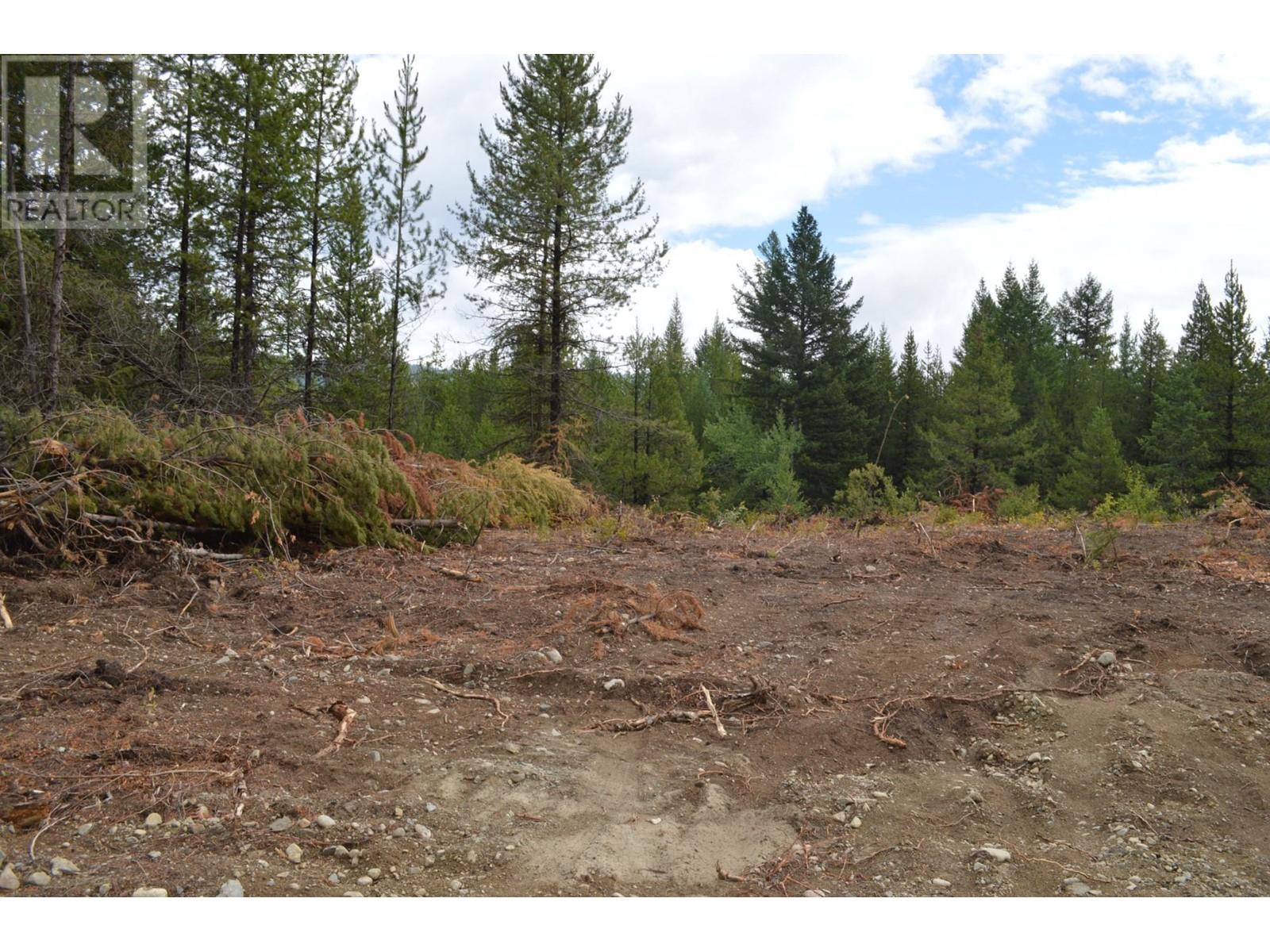 Lot 2 3 Highway, Grand Forks, British Columbia  V0H 1H5 - Photo 13 - 2478746