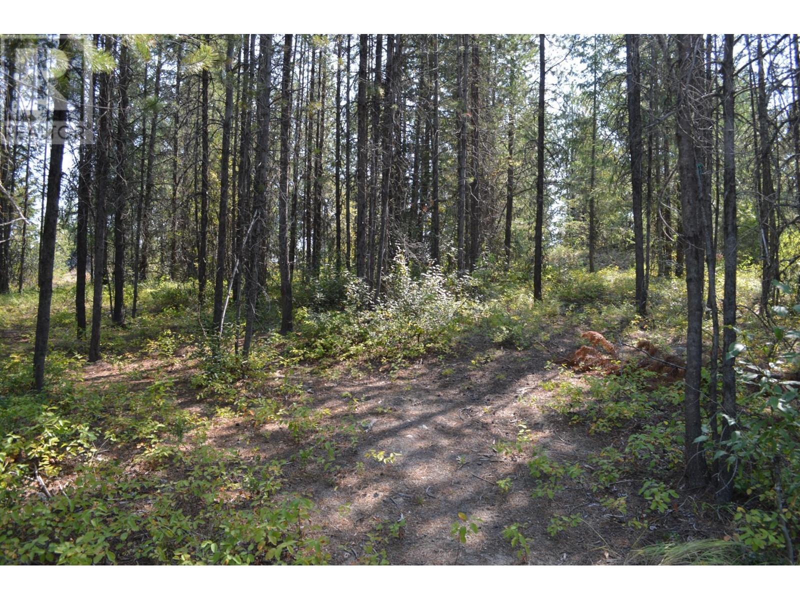Lot 2 3 Highway, Grand Forks, British Columbia  V0H 1H5 - Photo 16 - 2478746