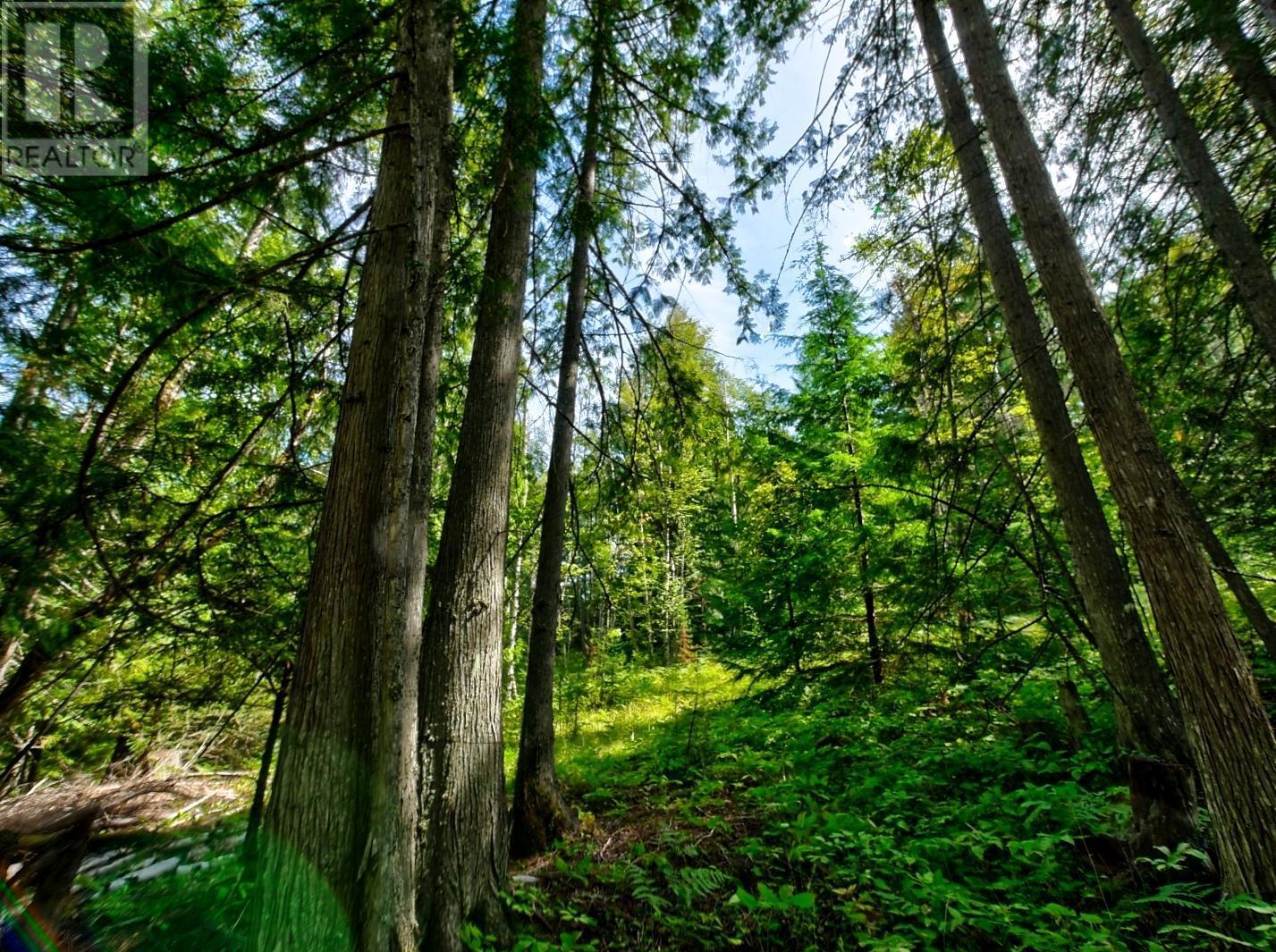 1 Lasca Creek Road, Harrop, British Columbia  V1L 6R4 - Photo 10 - 2478943