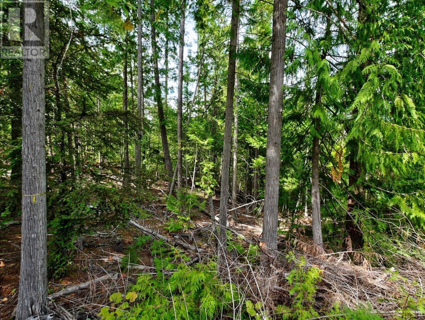 1 Lasca Creek Road, Harrop, British Columbia  V1L 6R4 - Photo 11 - 2478943