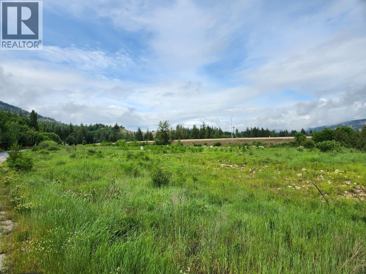 Block 16 22 Highway, Castlegar, British Columbia  V0G 1G0 - Photo 3 - 2479141