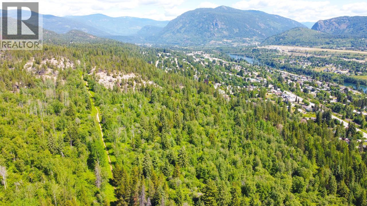 3300 10th Avenue, Castlegar, British Columbia  V1N 3A5 - Photo 10 - 2479162