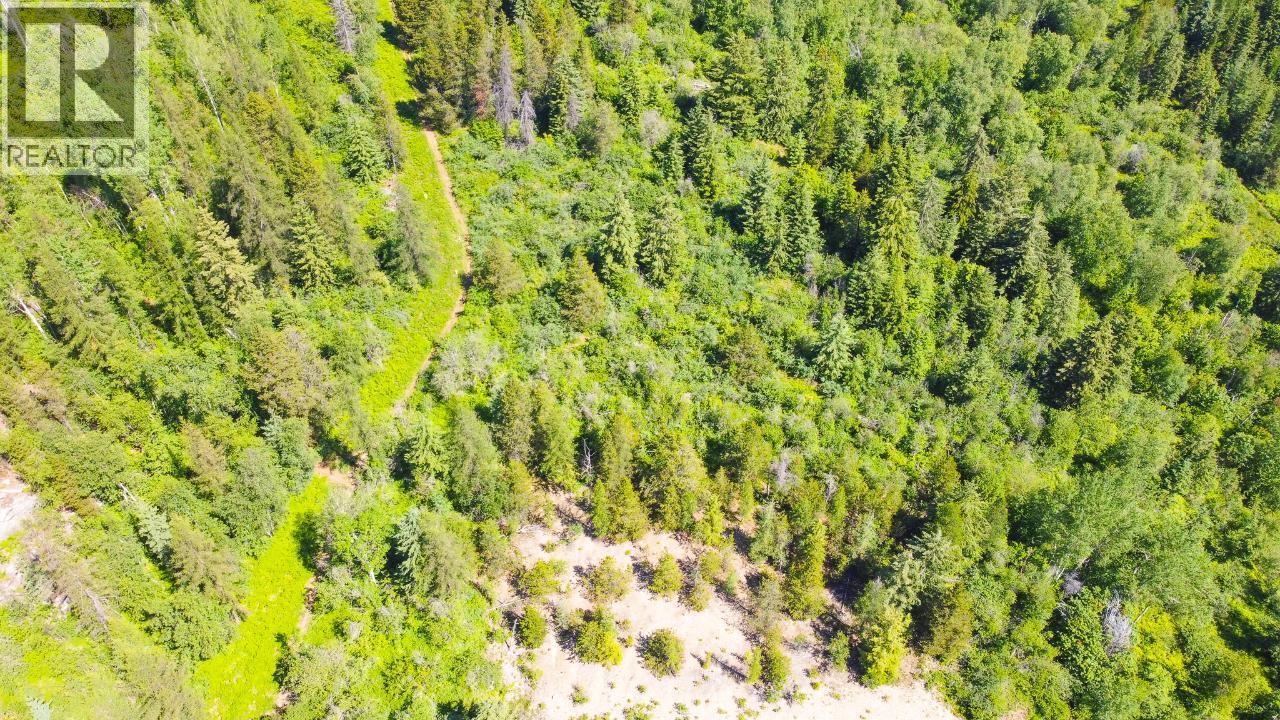 3300 10th Avenue, Castlegar, British Columbia  V1N 3A5 - Photo 11 - 2479162