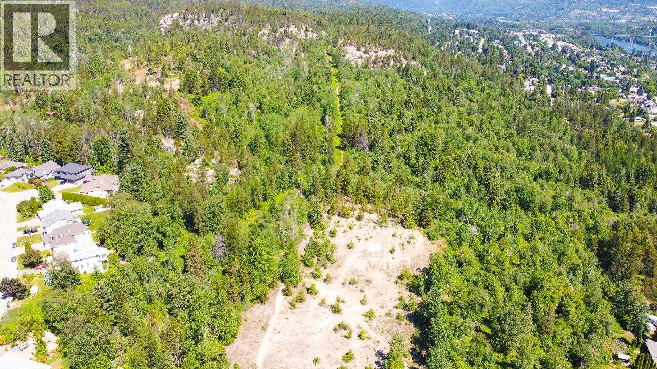 3300 10th Avenue, Castlegar, British Columbia  V1N 3A5 - Photo 12 - 2479162