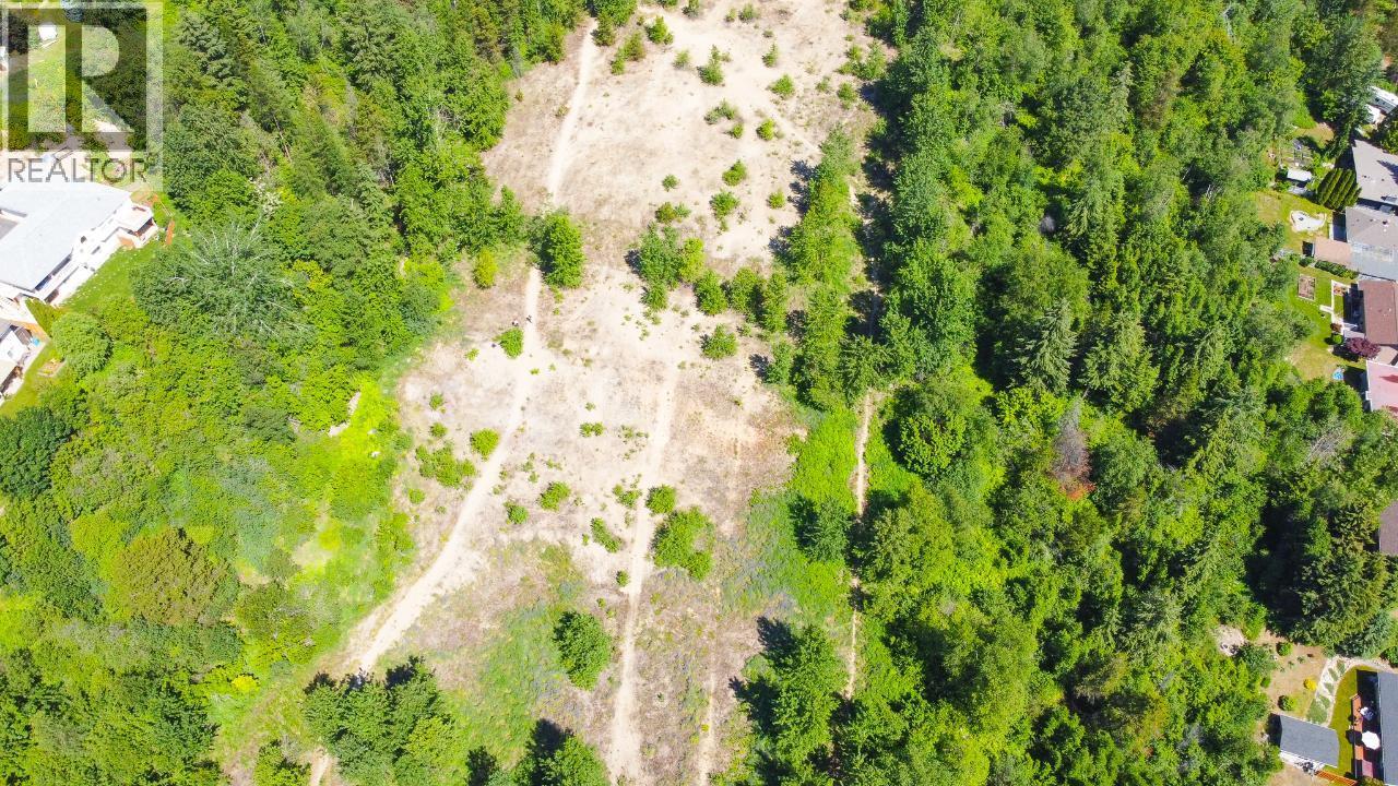 3300 10th Avenue, Castlegar, British Columbia  V1N 3A5 - Photo 13 - 2479162