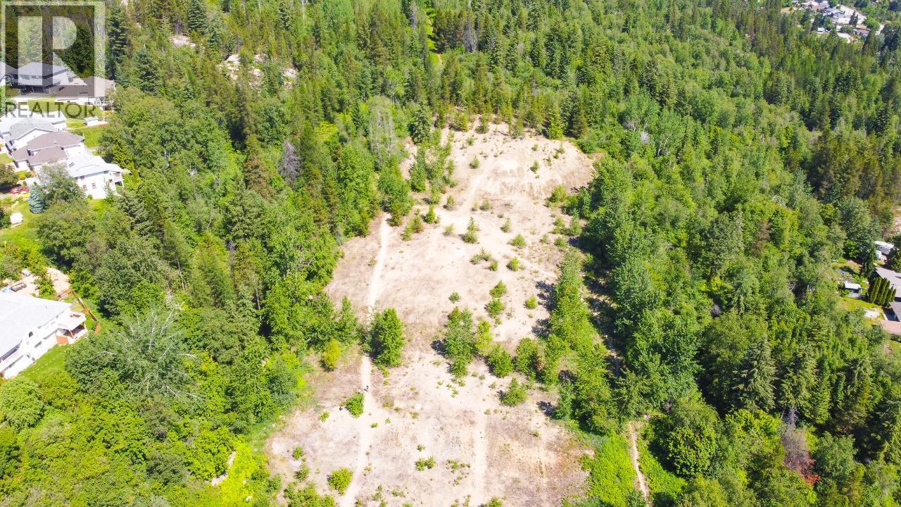 3300 10th Avenue, Castlegar, British Columbia  V1N 3A5 - Photo 14 - 2479162