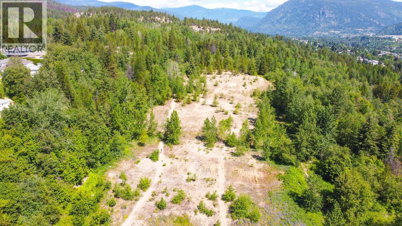 3300 10th Avenue, Castlegar, British Columbia  V1N 3A5 - Photo 15 - 2479162