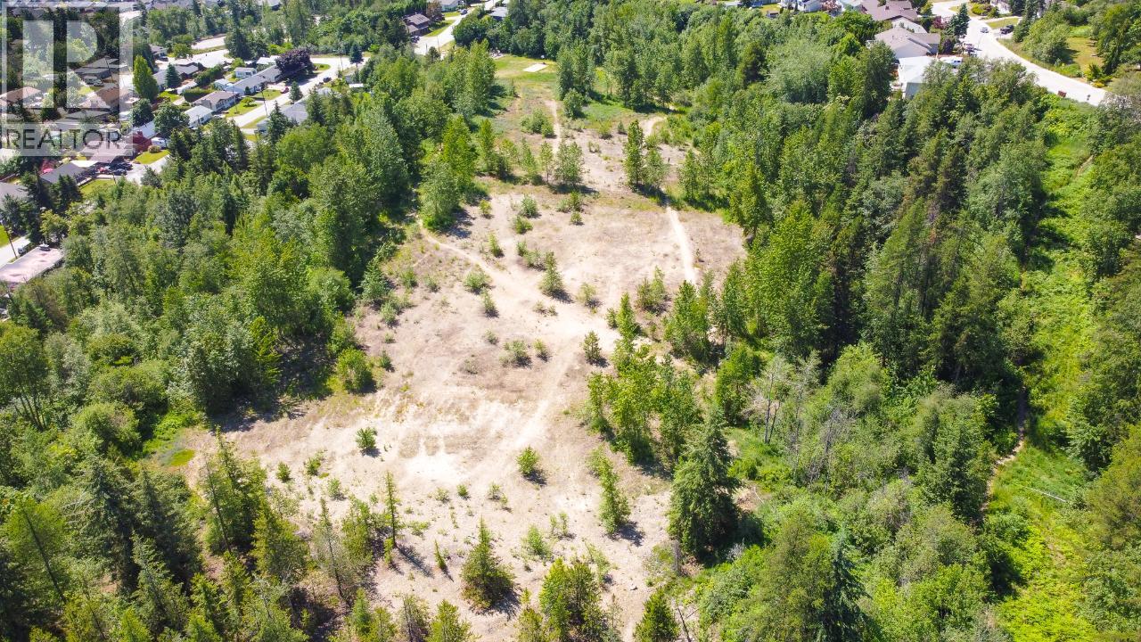 3300 10th Avenue, Castlegar, British Columbia  V1N 3A5 - Photo 20 - 2479162