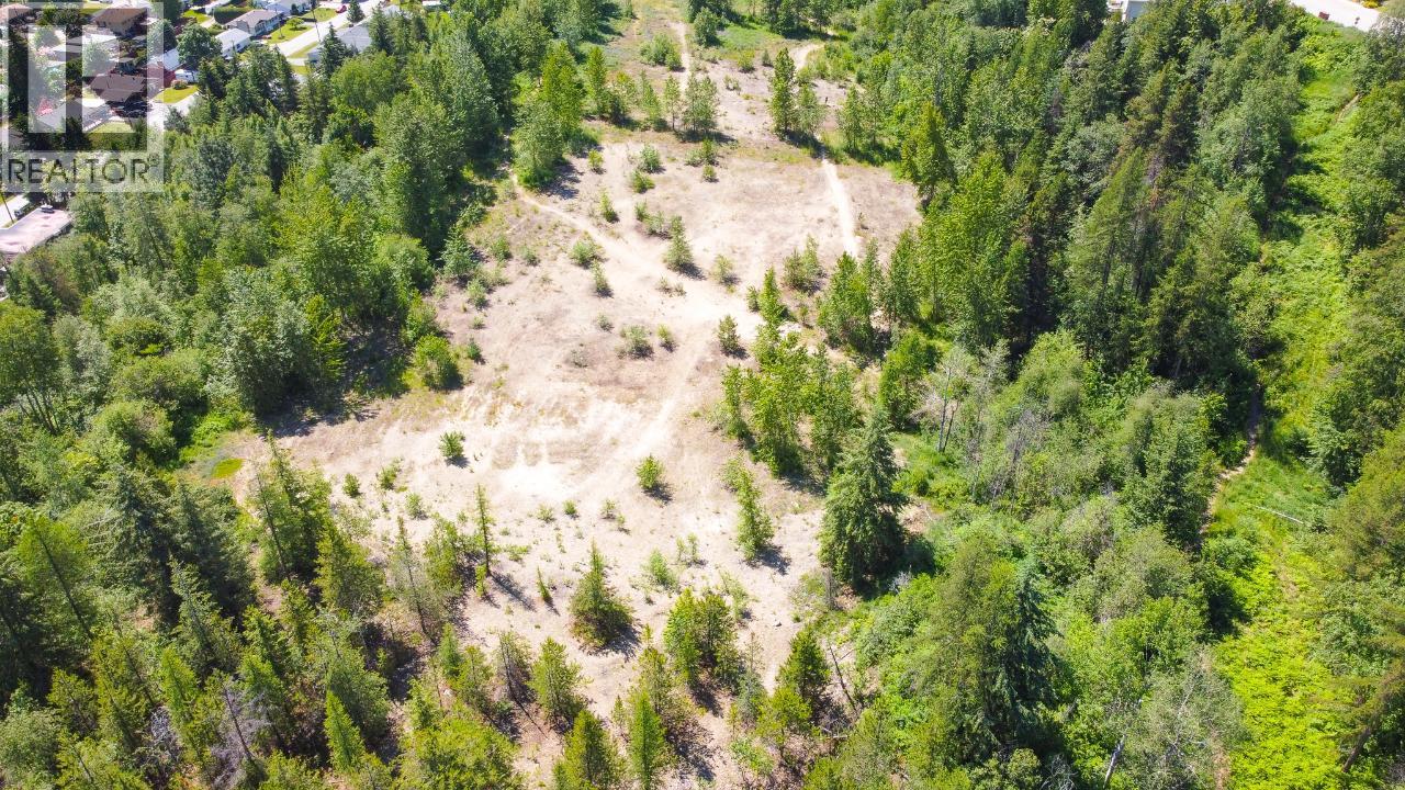 3300 10th Avenue, Castlegar, British Columbia  V1N 3A5 - Photo 22 - 2479162