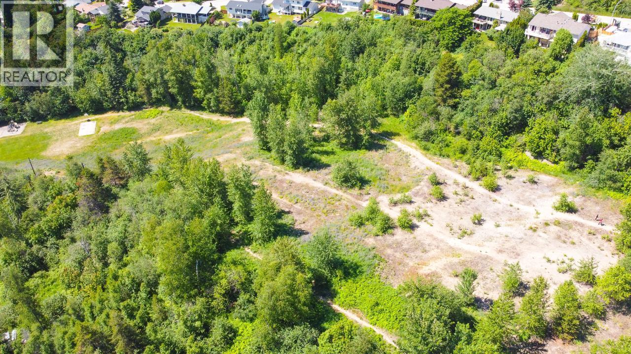 3300 10th Avenue, Castlegar, British Columbia  V1N 3A5 - Photo 24 - 2479162