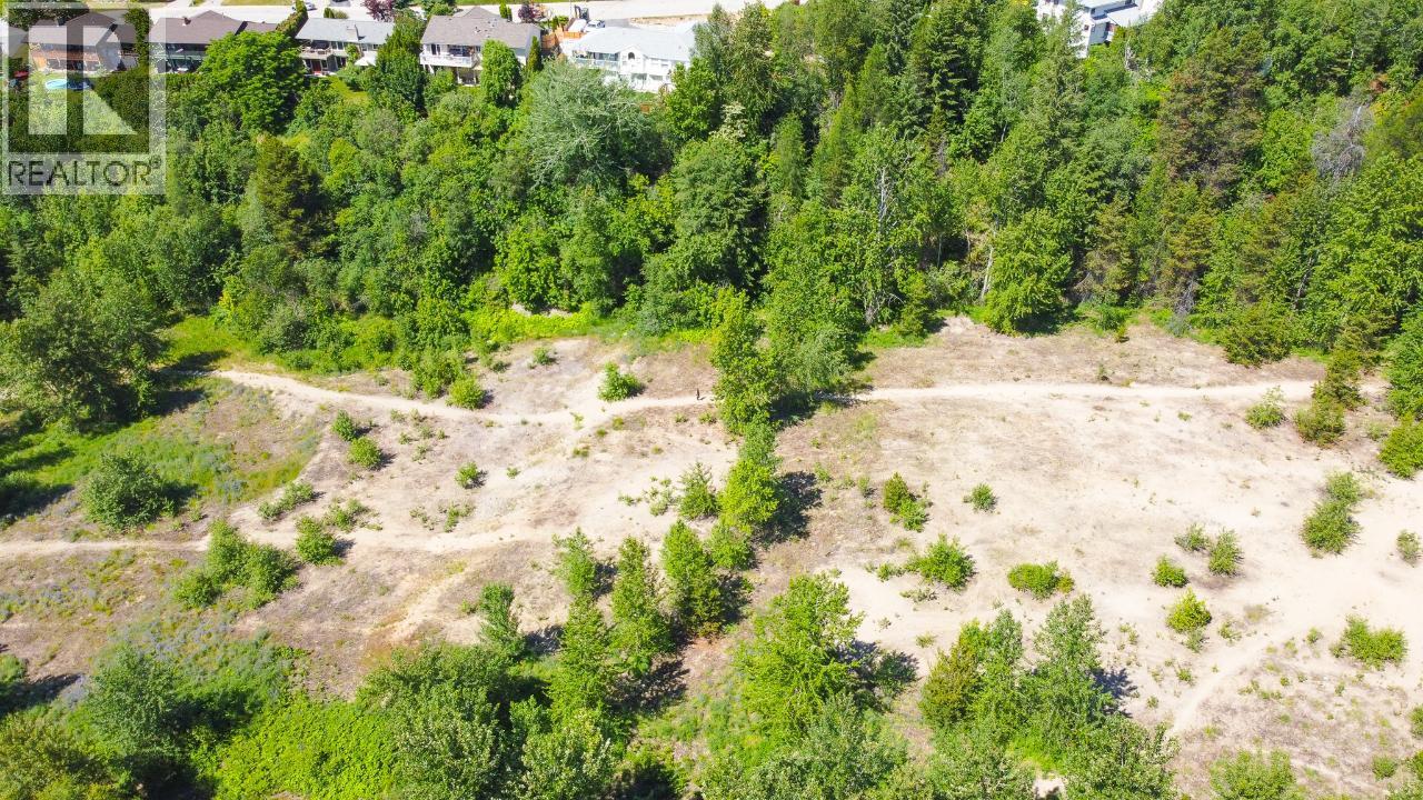 3300 10th Avenue, Castlegar, British Columbia  V1N 3A5 - Photo 26 - 2479162