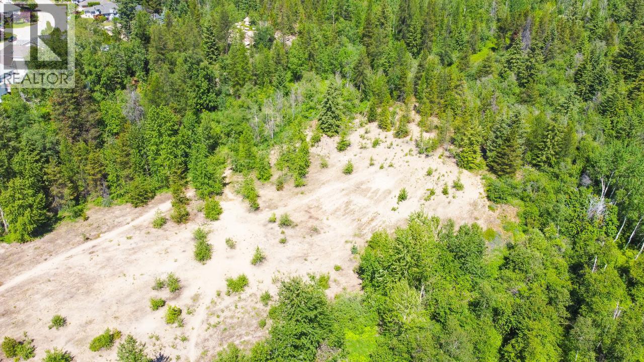 3300 10th Avenue, Castlegar, British Columbia  V1N 3A5 - Photo 27 - 2479162