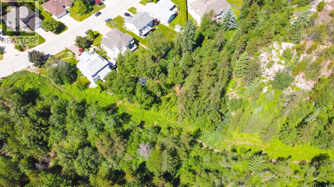 3300 10th Avenue, Castlegar, British Columbia  V1N 3A5 - Photo 8 - 2479162