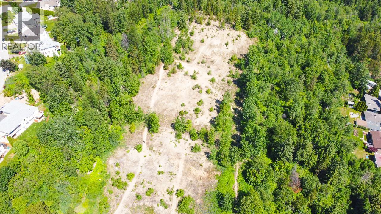 3300 10th Avenue, Castlegar, British Columbia  V1N 3A5 - Photo 9 - 2479162