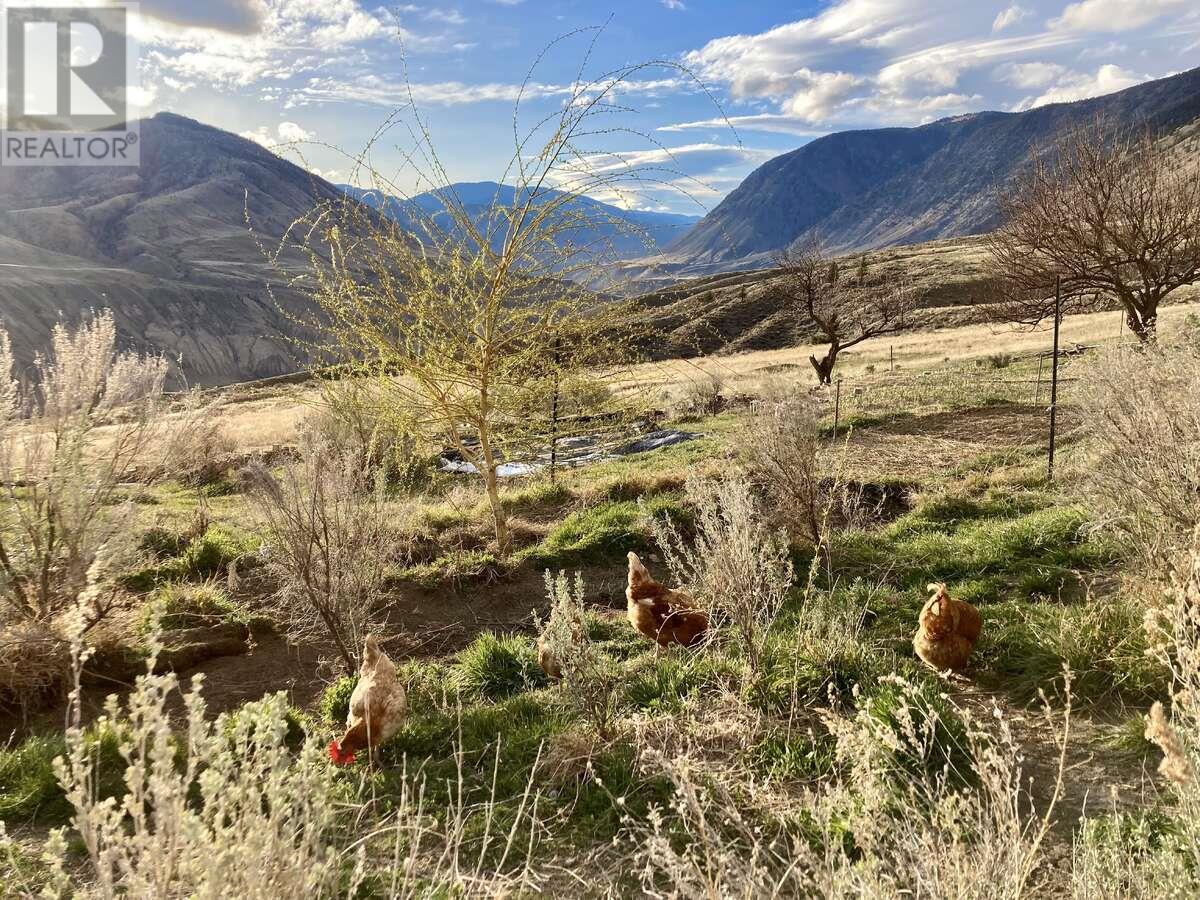 Lot 381 High Bar Road, Clinton, British Columbia  V0K 1K0 - Photo 22 - 180585