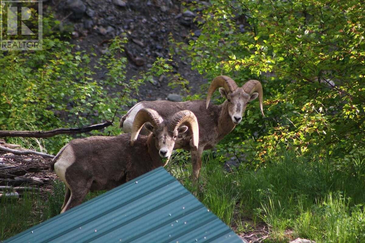 Lot 381 High Bar Road, Clinton, British Columbia  V0K 1K0 - Photo 57 - 180585