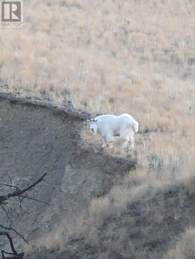 Lot 381 High Bar Road, Clinton, British Columbia  V0K 1K0 - Photo 58 - 180585