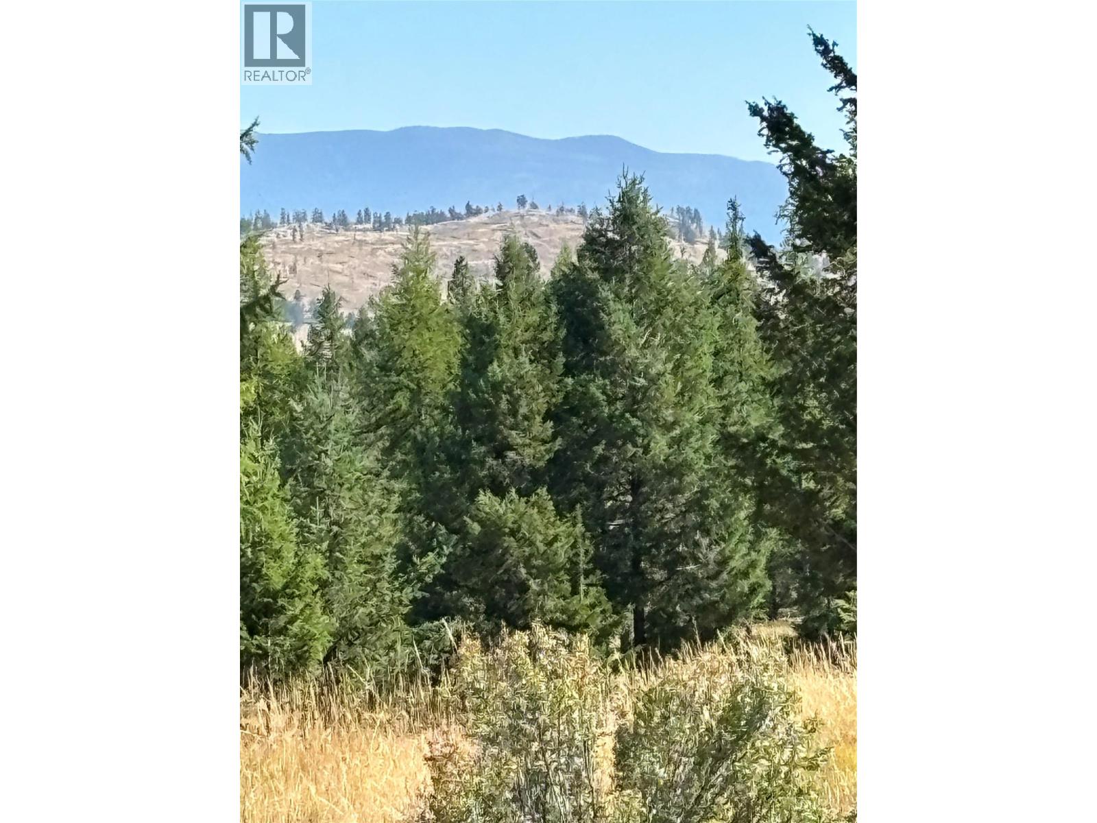891 Raven Hill Road, Osoyoos, British Columbia  V0H 1V6 - Photo 11 - 10323079