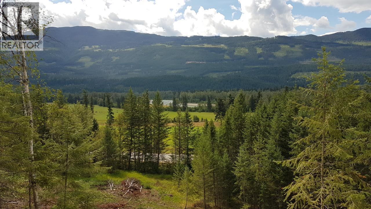 1525 Yellowhead Highway, Clearwater, British Columbia  V0E 1N1 - Photo 5 - 180671