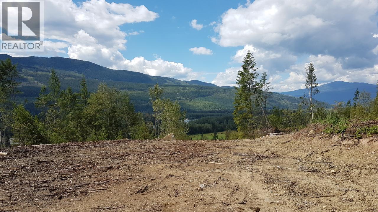 1525 Yellowhead Highway, Clearwater, British Columbia  V0E 1N1 - Photo 6 - 180671