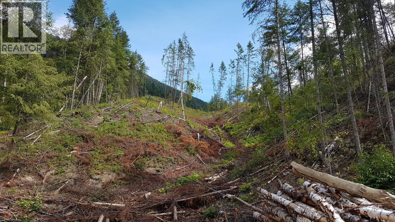 1525 Yellowhead Highway, Clearwater, British Columbia  V0E 1N1 - Photo 7 - 180671