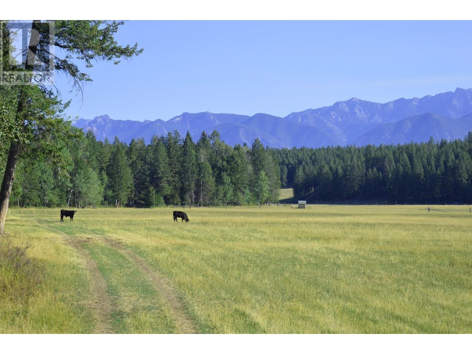 Dl7156 Potter Road, Invermere, British Columbia  V0A 1K4 - Photo 23 - 2479391