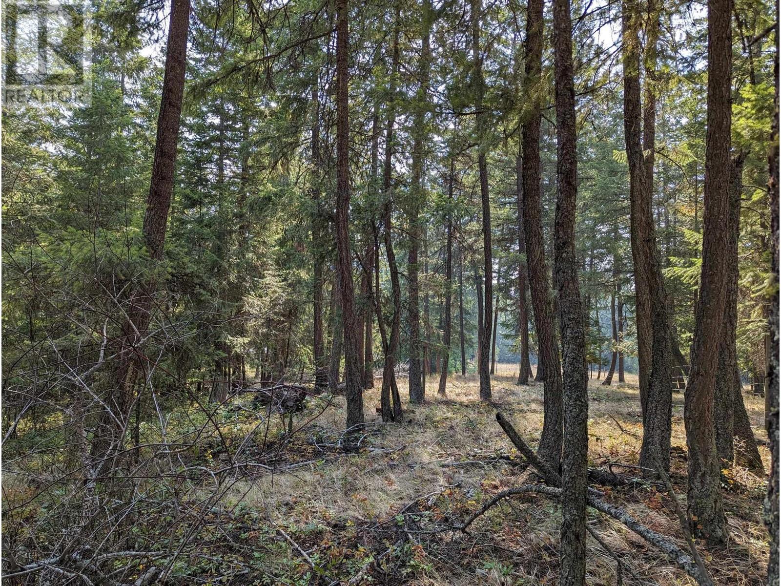 8569 Black Mountain Road, Chase, British Columbia  V0E 1M0 - Photo 13 - 180815