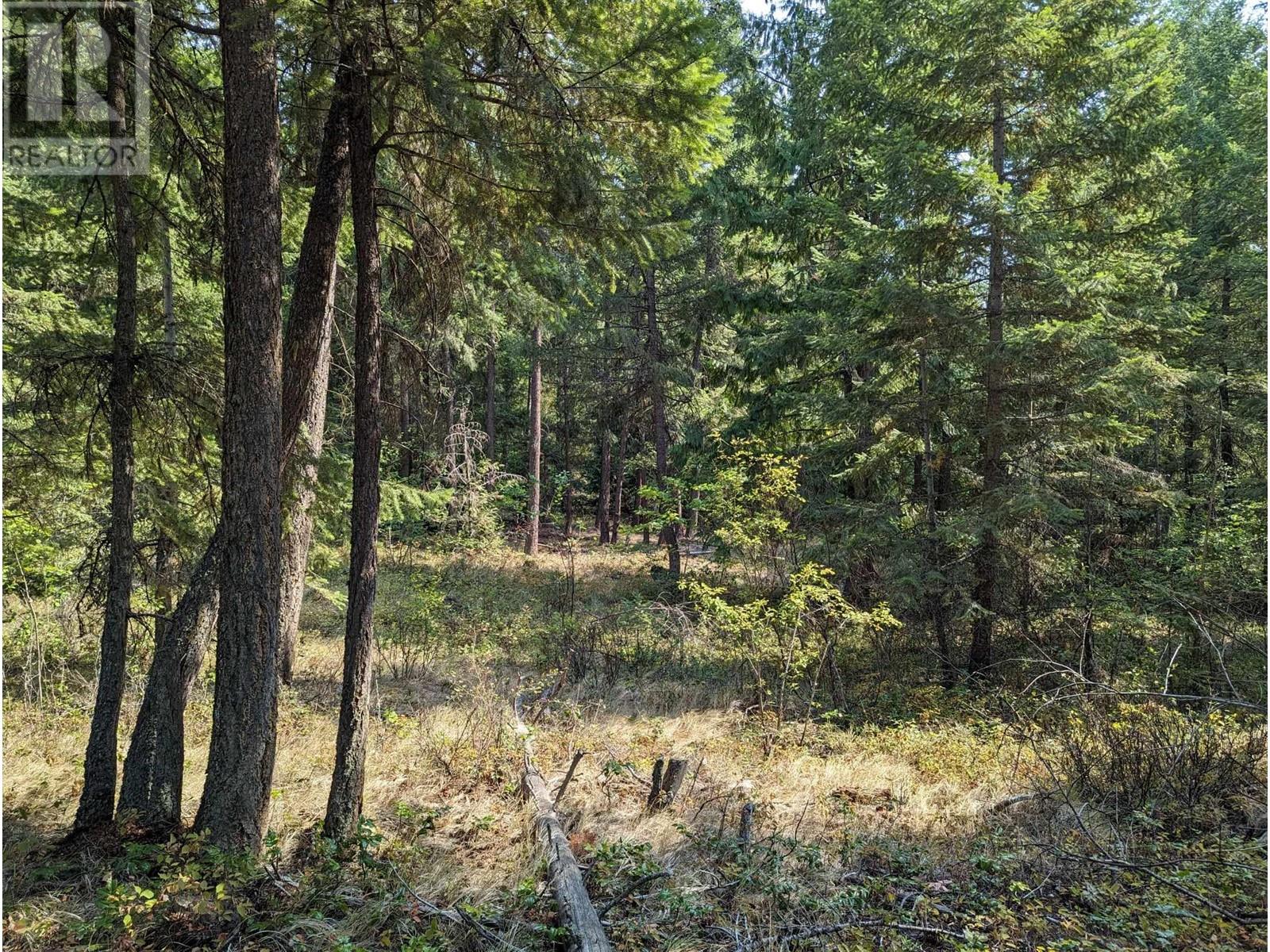 8569 Black Mountain Road, Chase, British Columbia  V0E 1M0 - Photo 14 - 180815