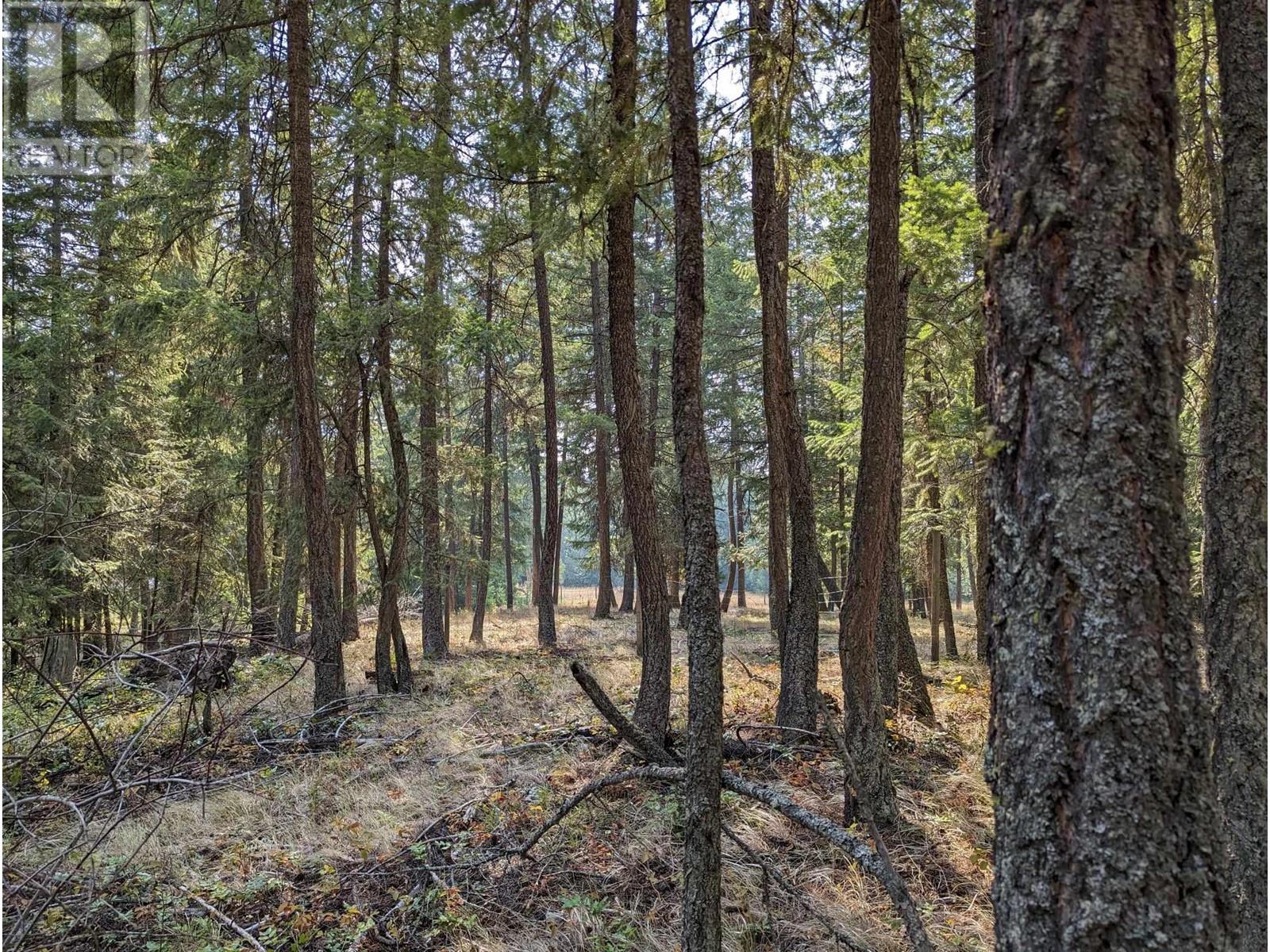 8569 Black Mountain Road, Chase, British Columbia  V0E 1M0 - Photo 15 - 180815