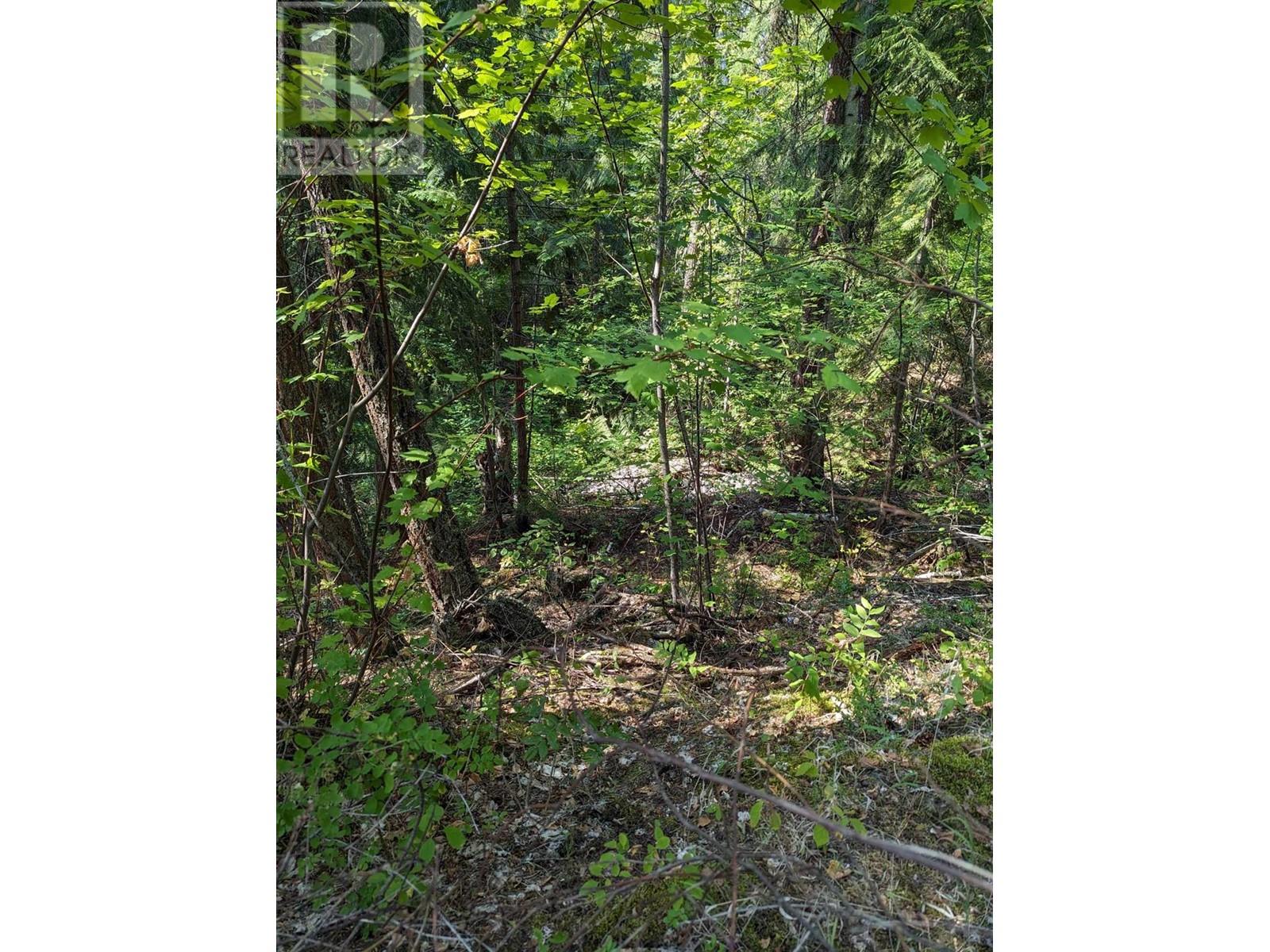 8569 Black Mountain Road, Chase, British Columbia  V0E 1M0 - Photo 18 - 180815