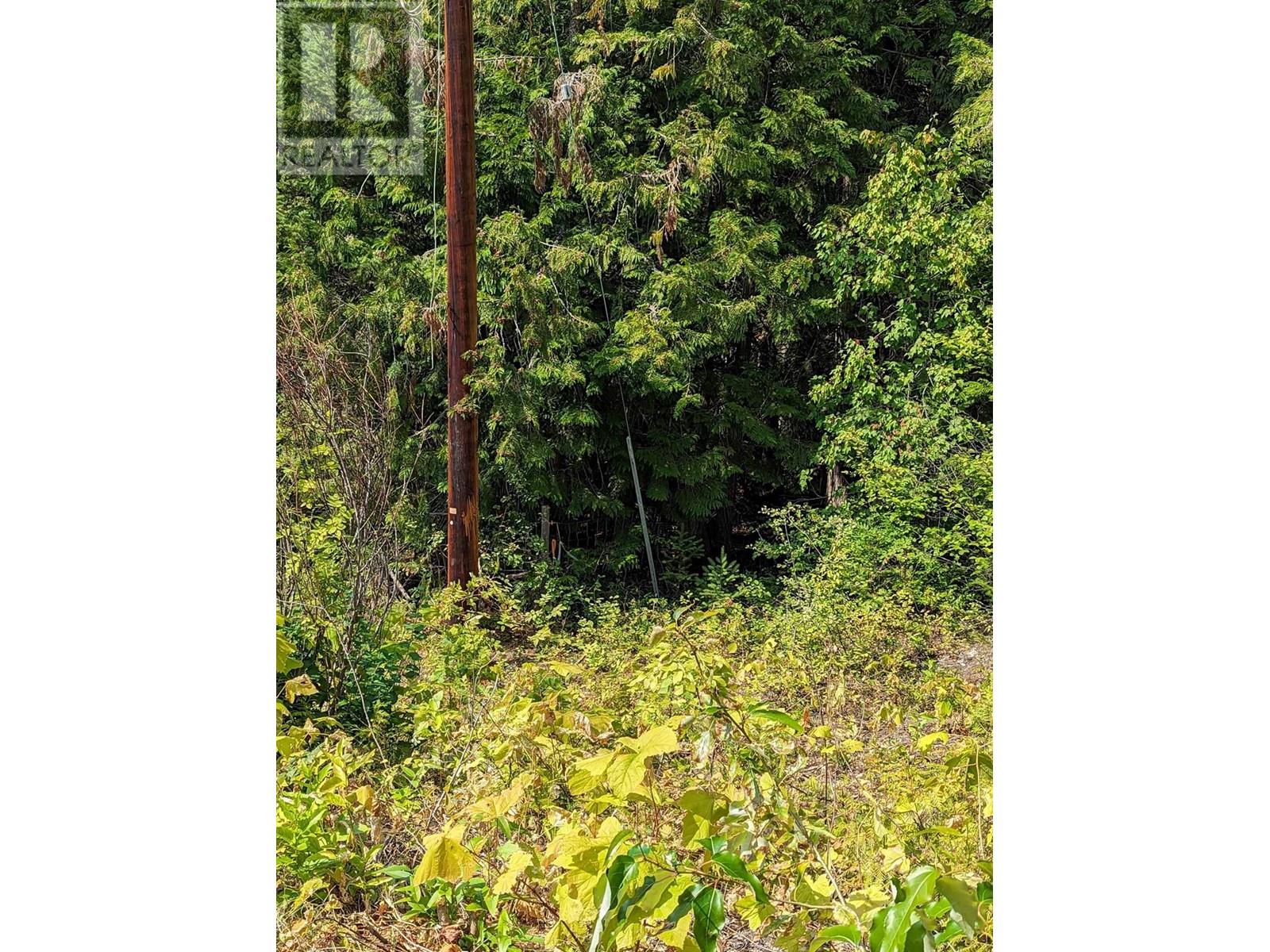 8569 Black Mountain Road, Chase, British Columbia  V0E 1M0 - Photo 20 - 180815