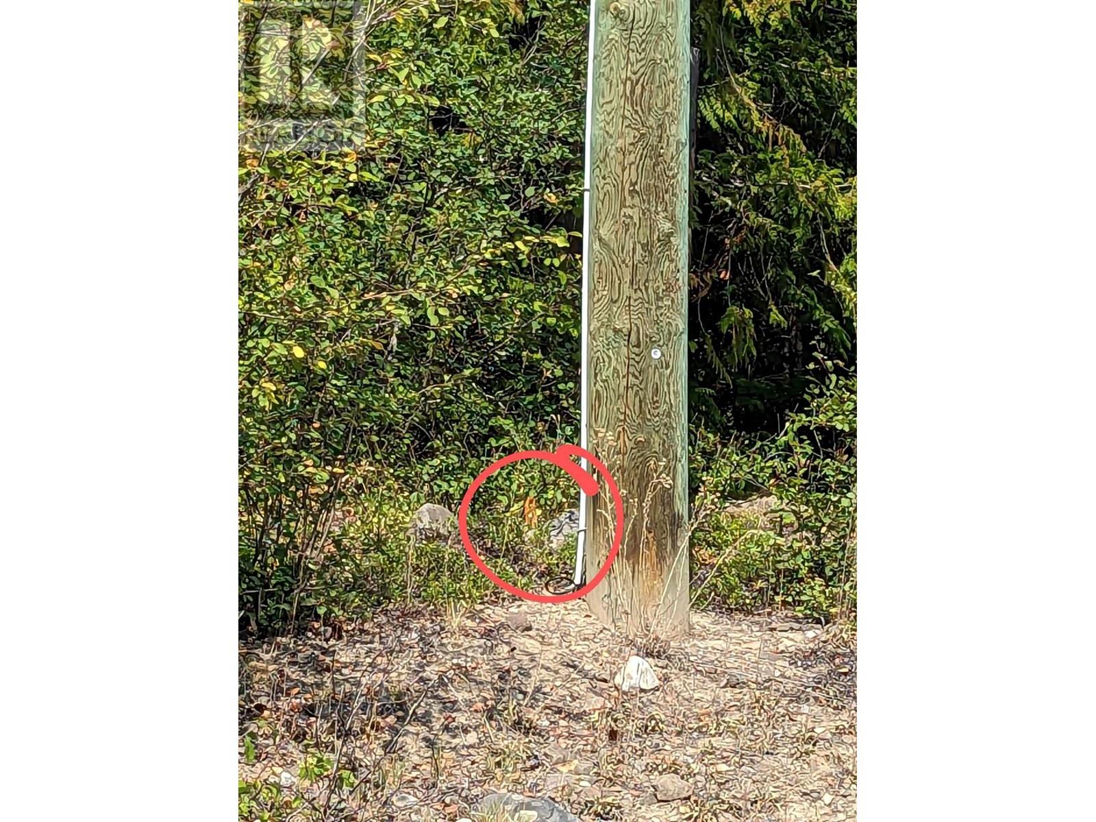 8569 Black Mountain Road, Chase, British Columbia  V0E 1M0 - Photo 23 - 180815