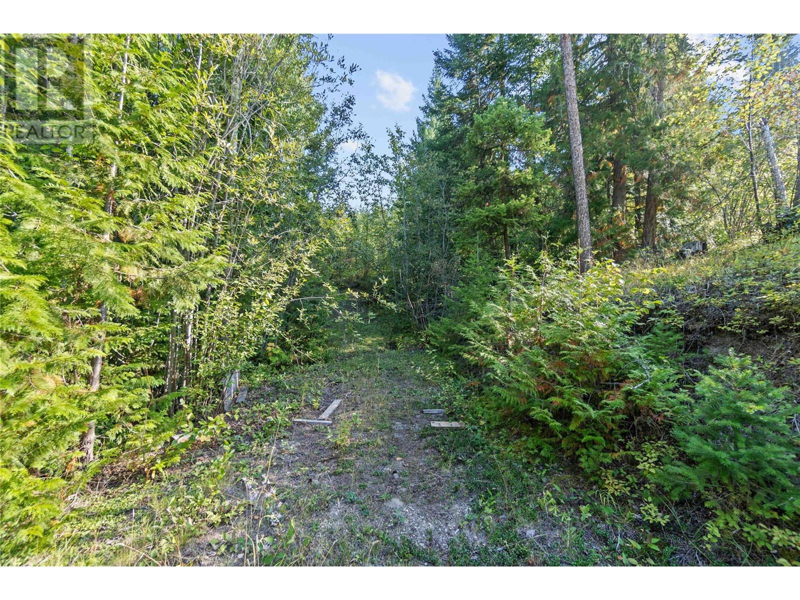 8569 Black Mountain Road, Chase, British Columbia  V0E 1M0 - Photo 35 - 180815