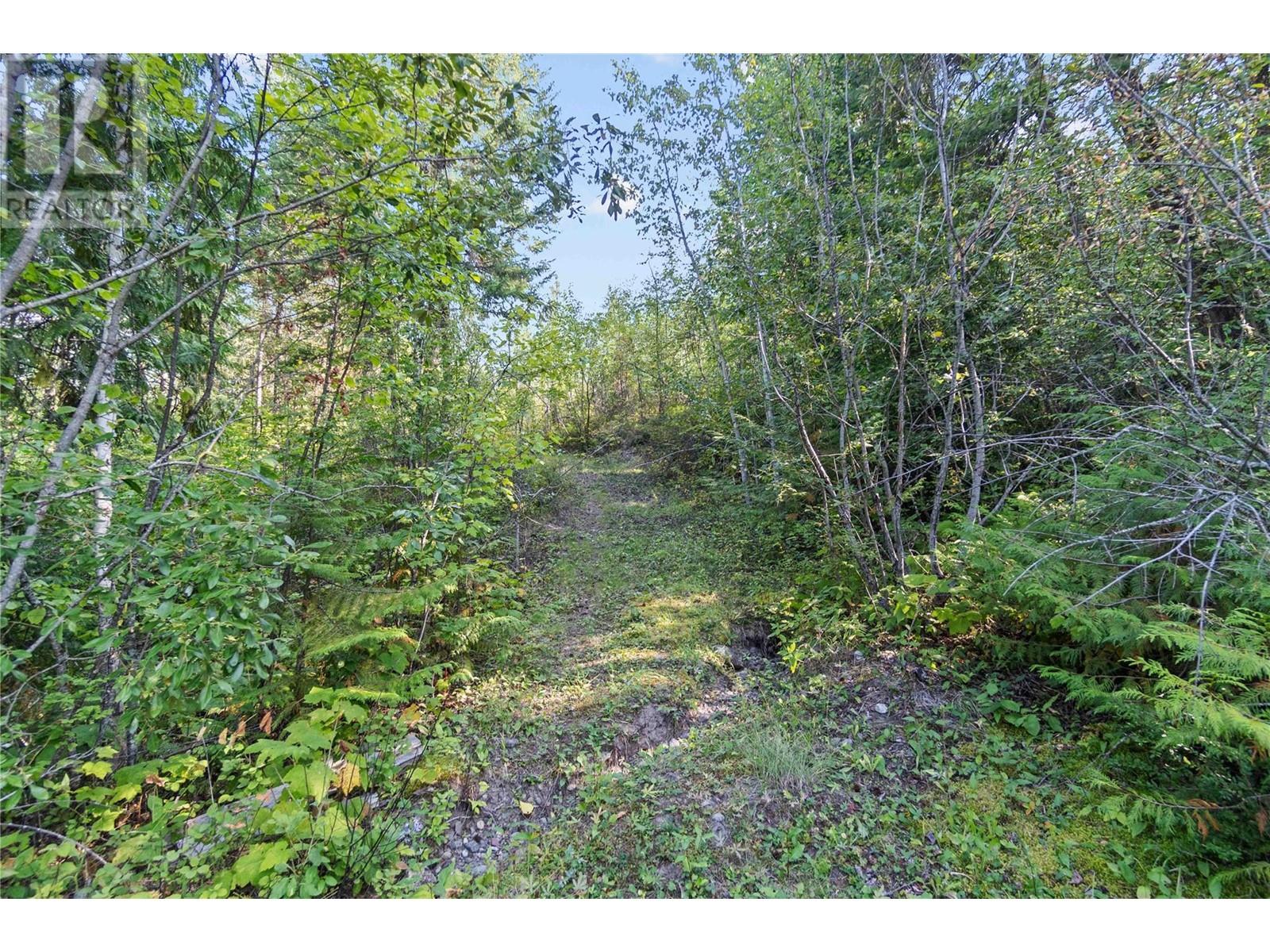 8569 Black Mountain Road, Chase, British Columbia  V0E 1M0 - Photo 36 - 180815