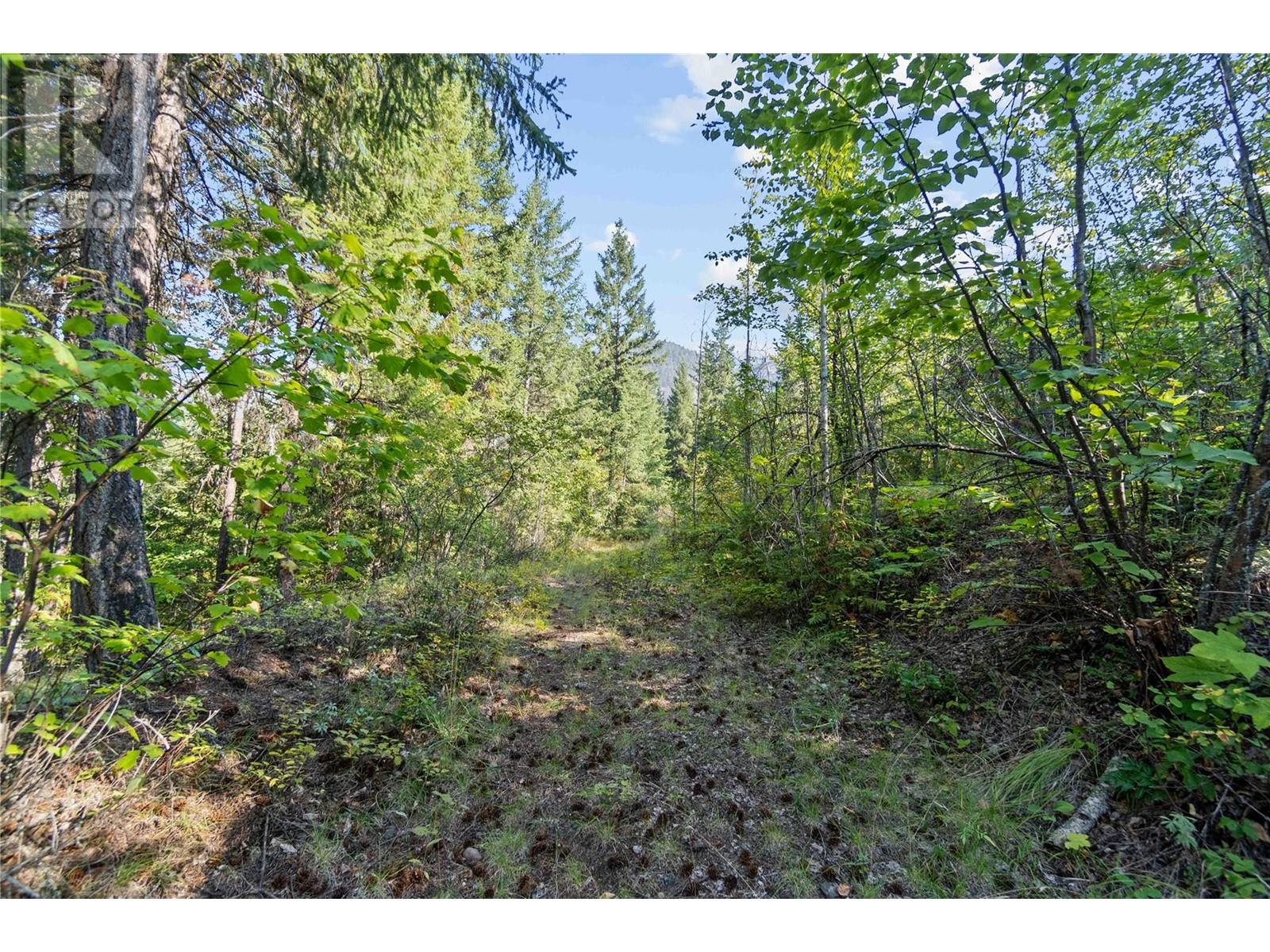 8569 Black Mountain Road, Chase, British Columbia  V0E 1M0 - Photo 37 - 180815