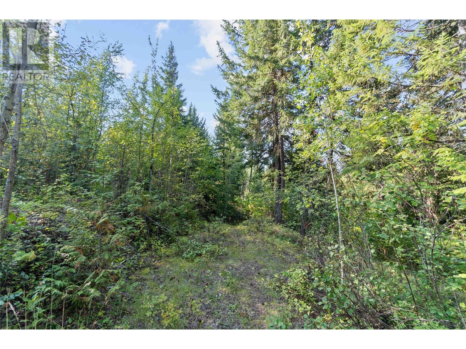 8569 Black Mountain Road, Chase, British Columbia  V0E 1M0 - Photo 38 - 180815