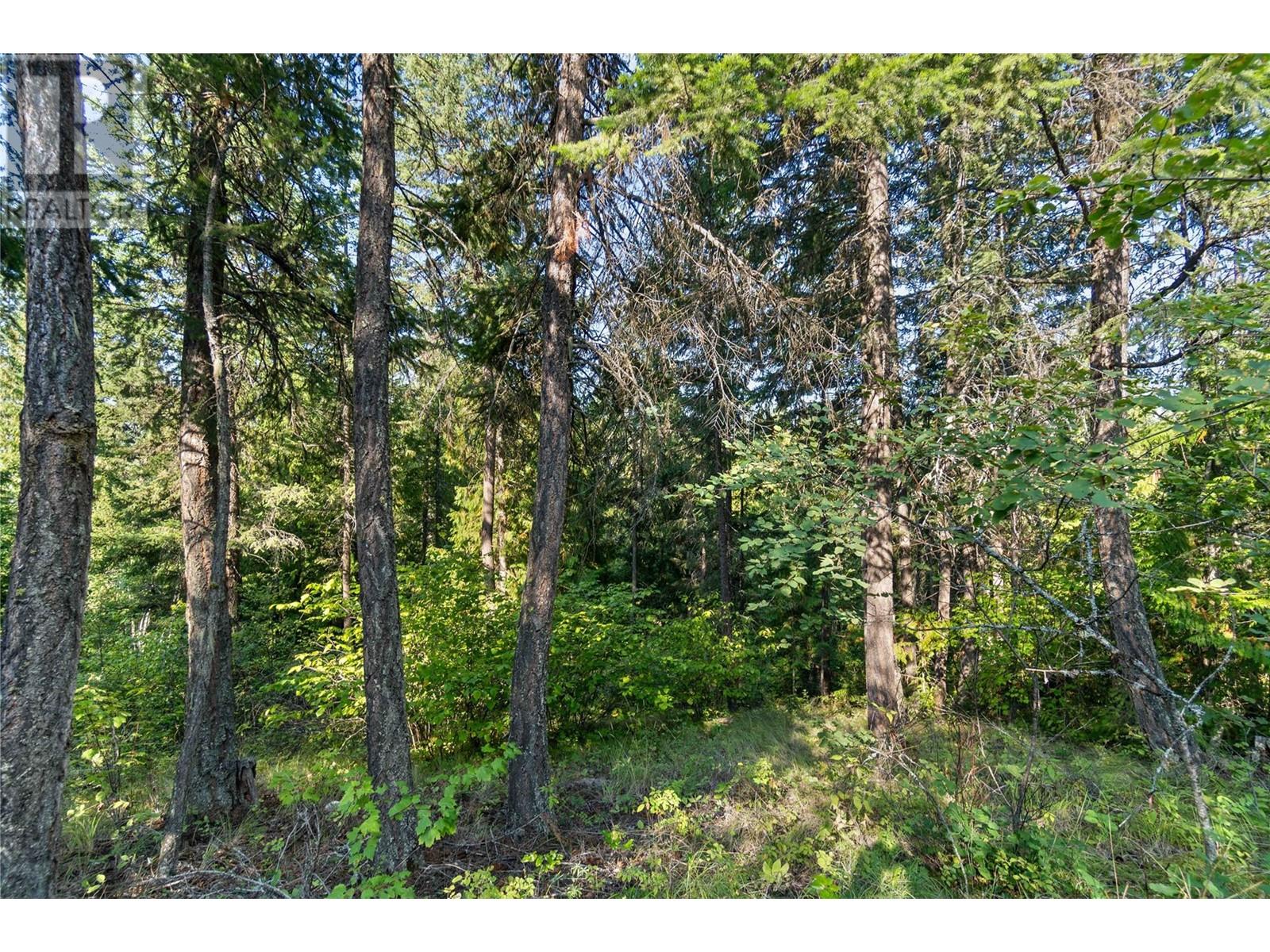 8569 Black Mountain Road, Chase, British Columbia  V0E 1M0 - Photo 43 - 180815