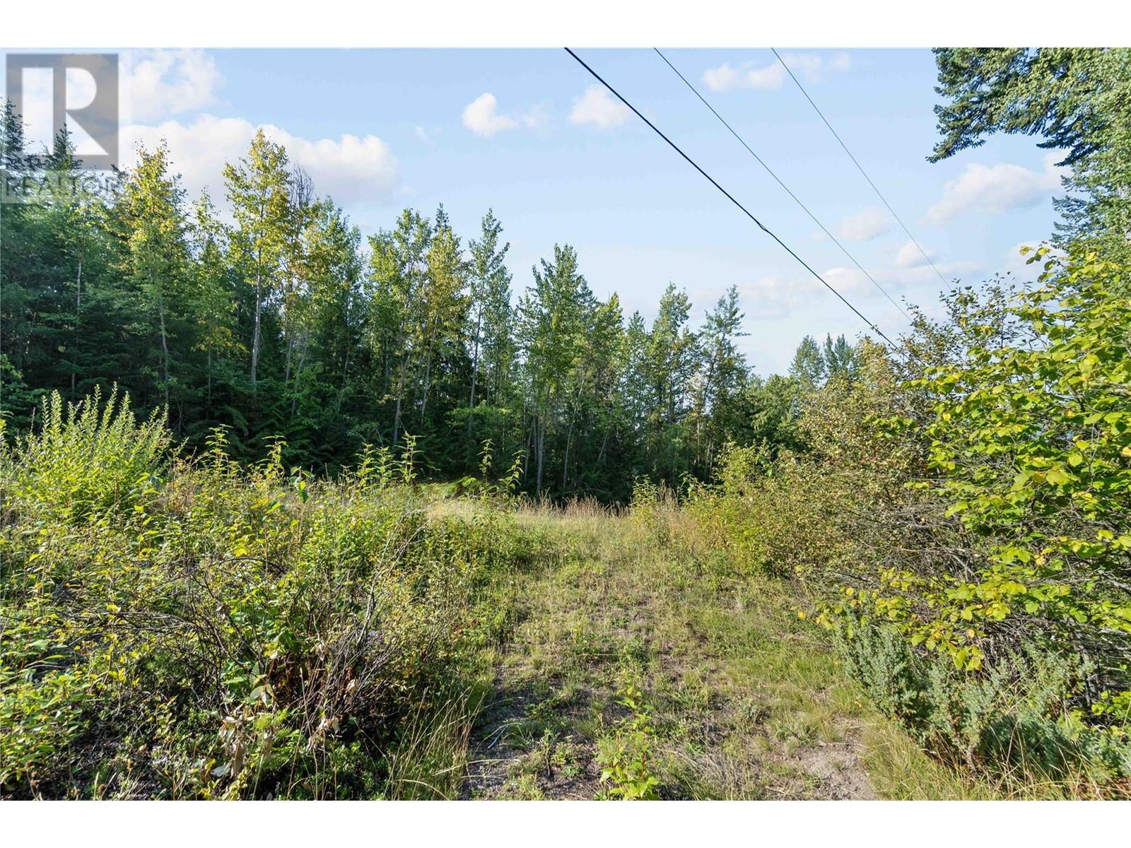 8569 Black Mountain Road, Chase, British Columbia  V0E 1M0 - Photo 44 - 180815