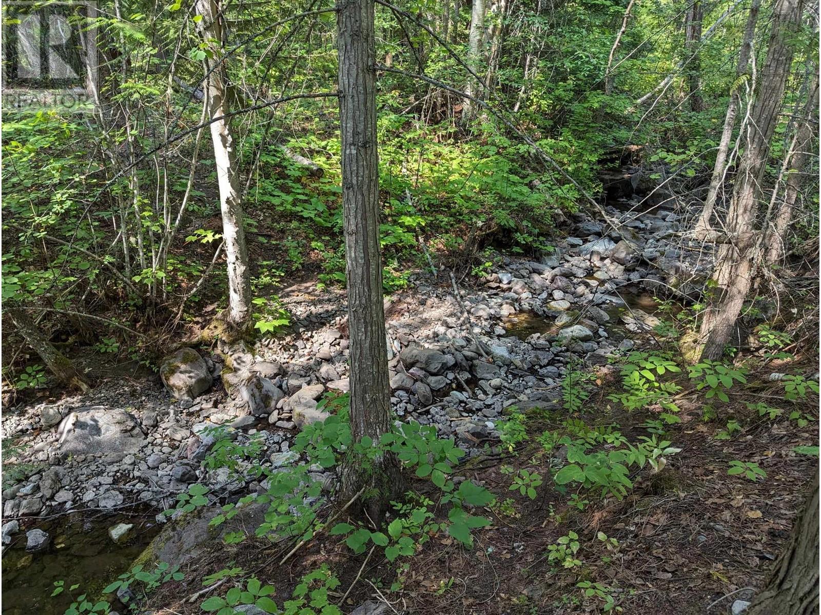 8569 Black Mountain Road, Chase, British Columbia  V0E 1M0 - Photo 45 - 180815