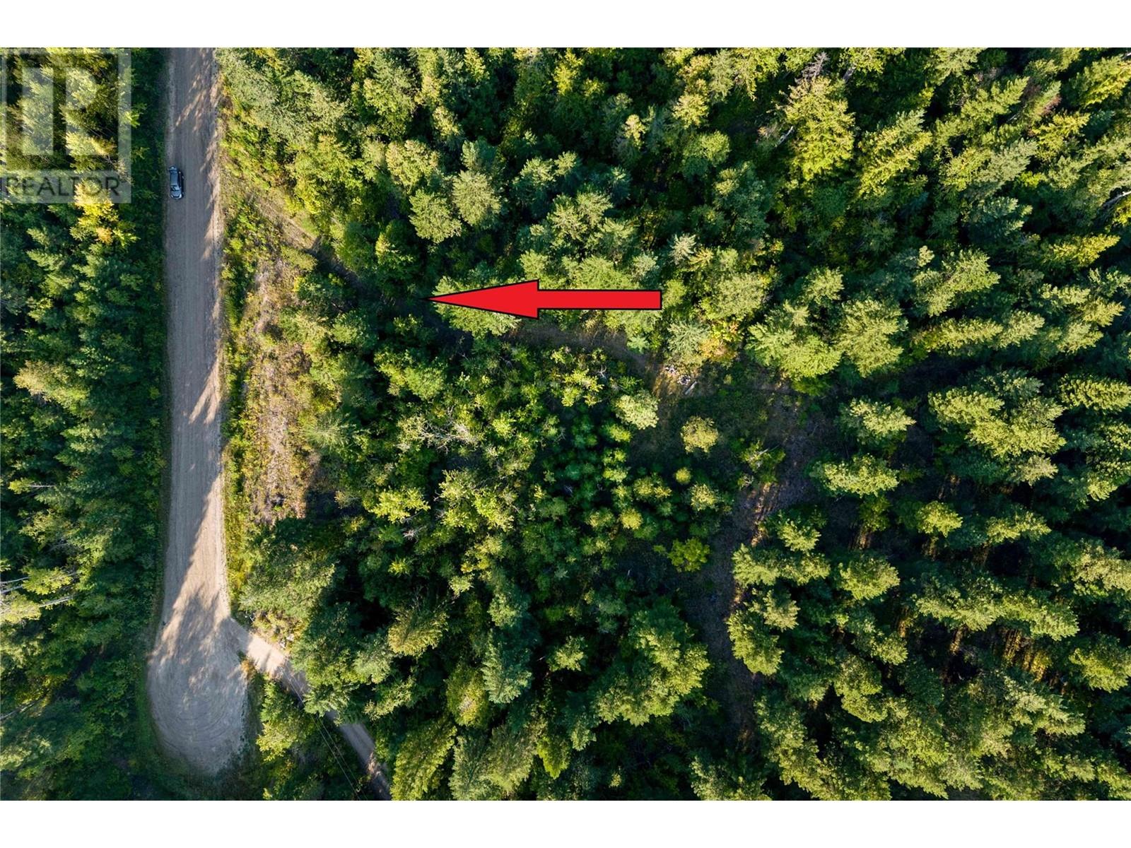 8569 Black Mountain Road, Chase, British Columbia  V0E 1M0 - Photo 49 - 180815