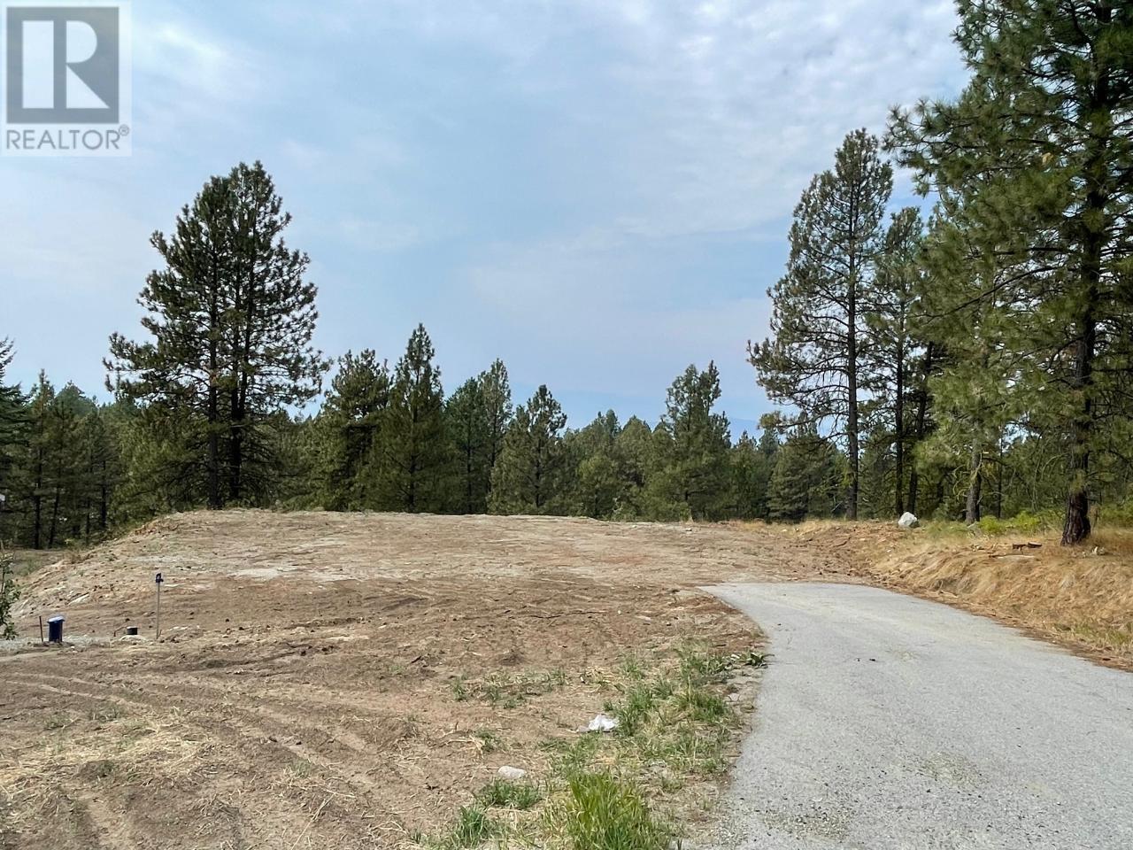 100 Cougar Court, Osoyoos, British Columbia  V0H 1V6 - Photo 10 - 10325409